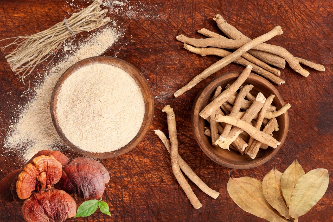 adaptogenic_herbs_and_mushrooms adaptogenic herbs and mushrooms with greens drink for stress balance and circulatory support