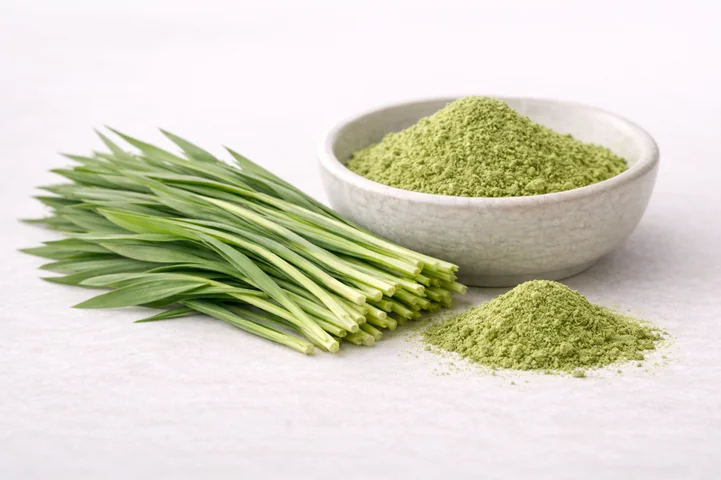 Organic Kamut Grass Juice Powder  in activ greens ingredients